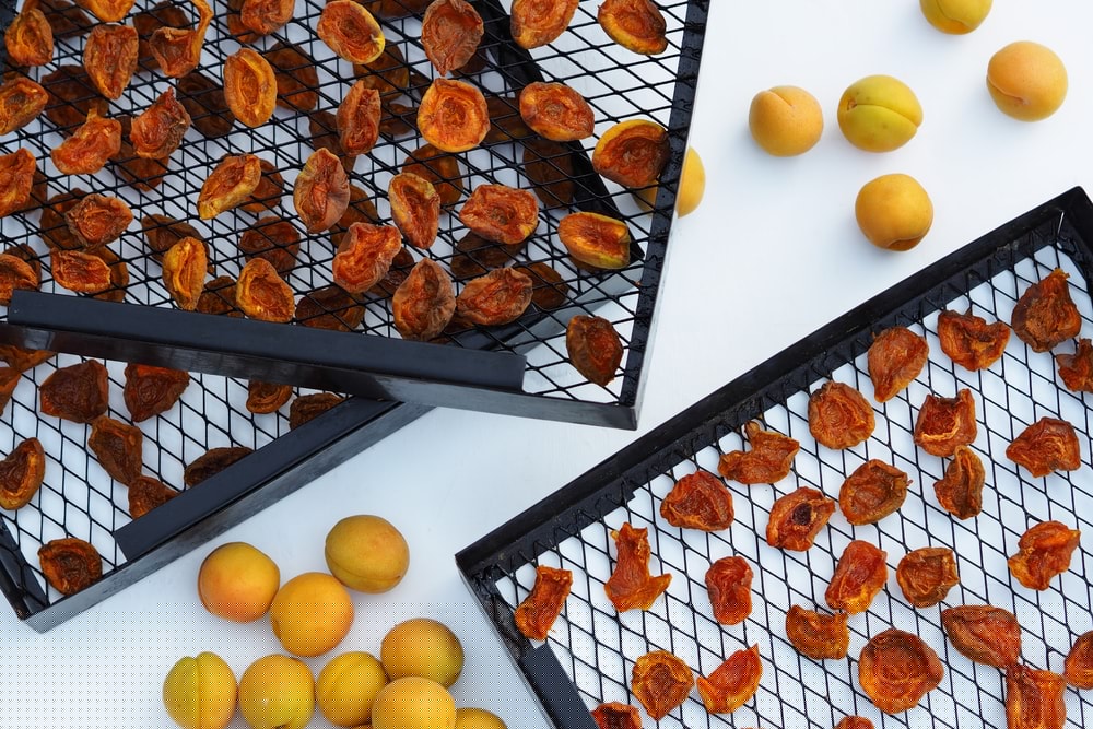 锥形真空干燥器