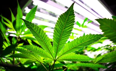 房间设备和用品