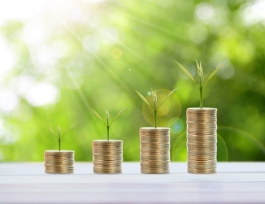 营销投资的预算投资