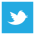 社会-图标- 08. png